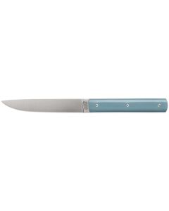 888 Steak Knife in Celadon