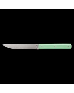 888 Steak Knife in Pistachio Green