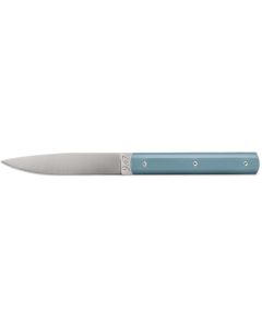 9.47 Steak Knife in Celadon