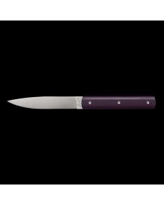 9.47 Steak Knife in Purple