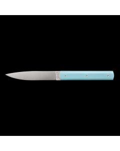 9.47 Steak Knife in Sky Blue