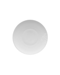 Amazonia Plate