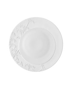 Amazonia Plate Bassin