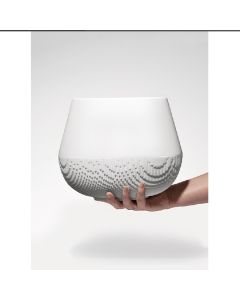 Evolution Oval Vase