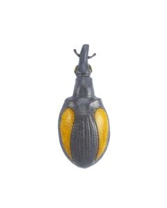 Geotrupes Stercorarius Beetle 21
