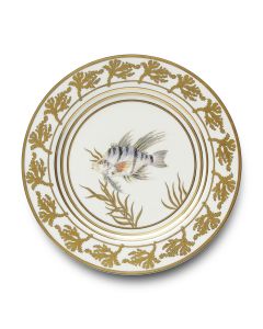 Or Des Mers Buffet Plate #6