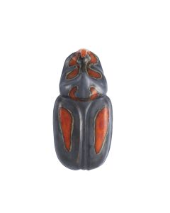 Oryctes Nasicornis Beetle 51