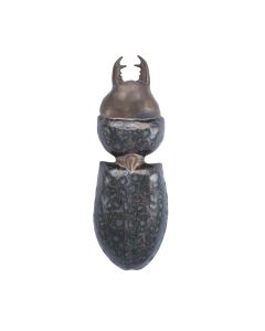 Scarites Buparis Beetle 34