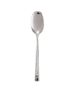 Skin French Sauce Spoon